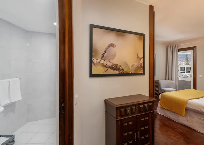 公寓 Olimpo I By An Island 丰沙尔